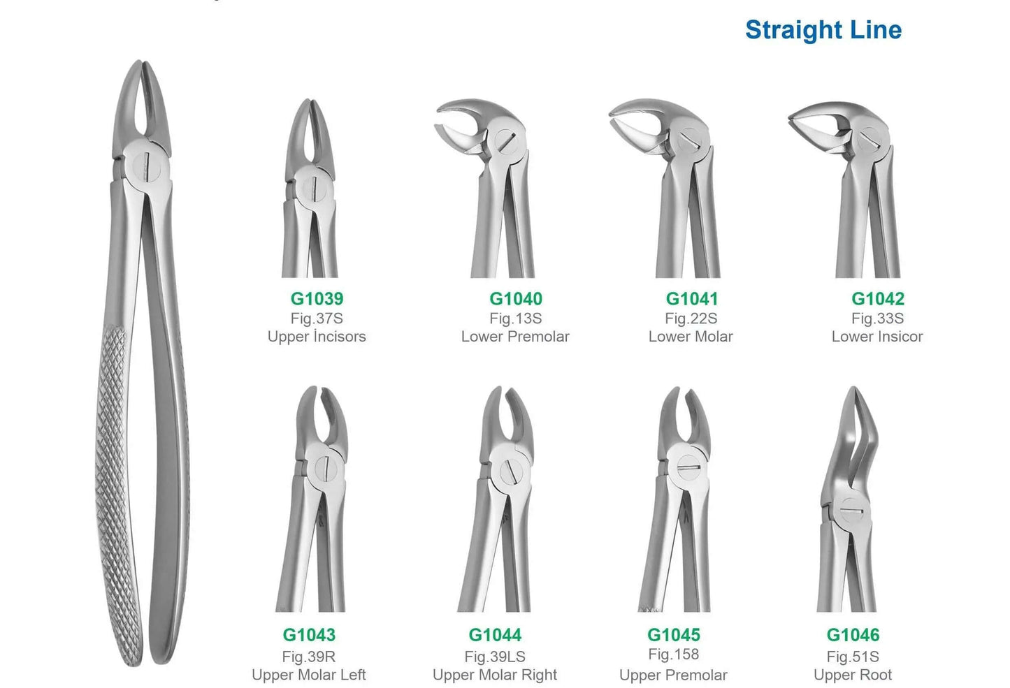 Set of 8 Medium Extraction Forceps G1047 | Dental Surgical Instruments Set Pakistan GIM Instruments