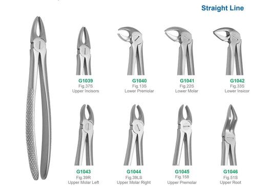 Set of 8 Medium Extraction Forceps G1047 | Dental Surgical Instruments Set Pakistan GIM Instruments