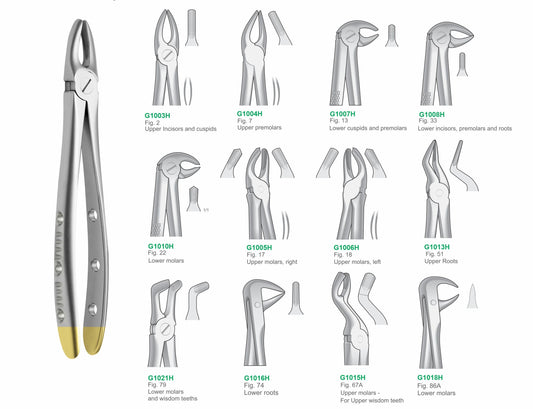 Premium Set of 12 Dental Extraction Forceps G1001H Hole Handle | Complete Surgical Tooth Extraction Instruments Set Pakistan