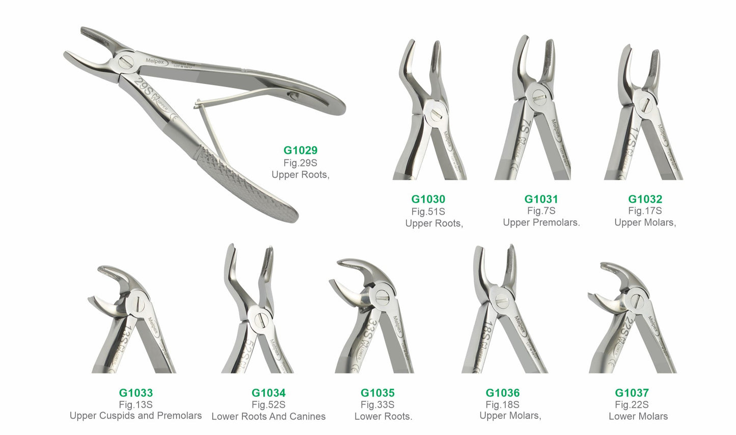 Set of 9 Baby Extraction Forceps G1038 | Pediatric Dental Surgical Instruments Set Pakistan