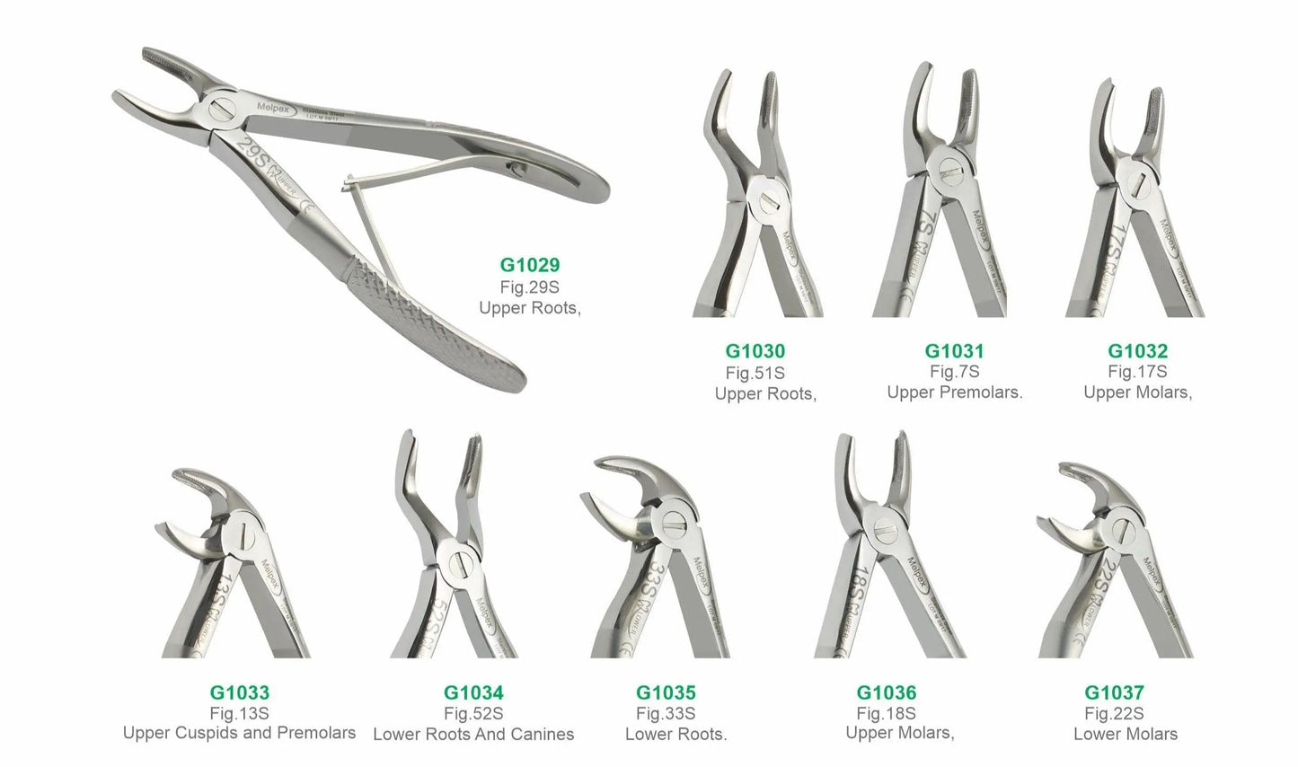 Set of 9 Baby Extraction Forceps G1038 | Pediatric Dental Surgical Instruments Set Pakistan GIM Instruments
