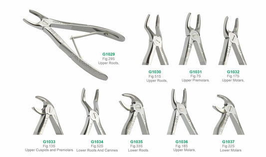 Set of 9 Baby Extraction Forceps G1038 | Pediatric Dental Surgical Instruments Set Pakistan GIM Instruments
