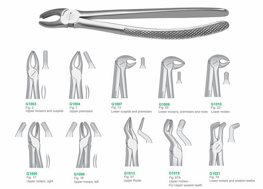 Set of 10 Dental Extraction Forceps G1001 | Complete Surgical Tooth Extraction Instruments Set Pakistan