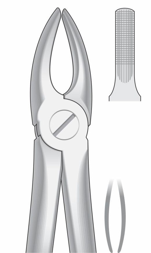 Upper Incisors and Cuspids Extraction Forceps G1003 Fig.2 | Dental Tooth Removal Instrument