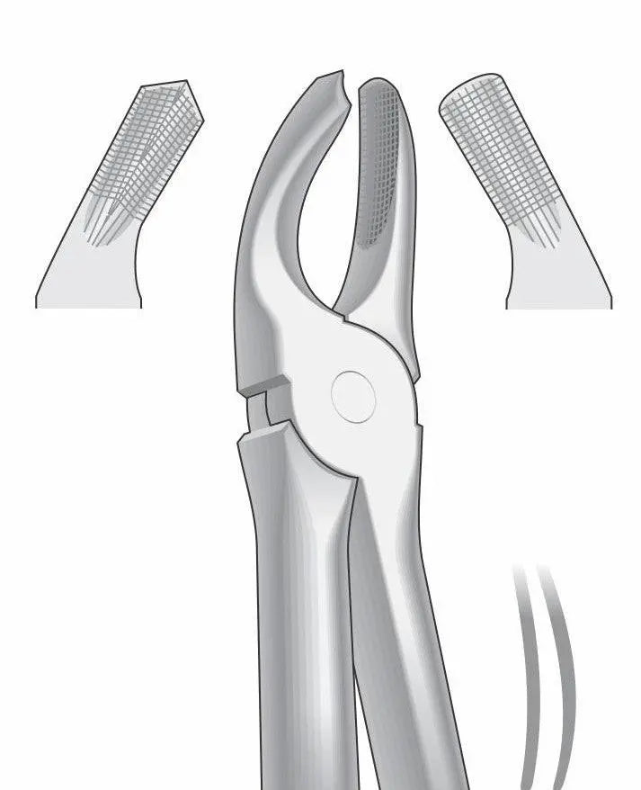 Upper Right Molars Extraction Forceps G1005 Fig.17 | Dental Tooth Removal Instrument GIM Instruments