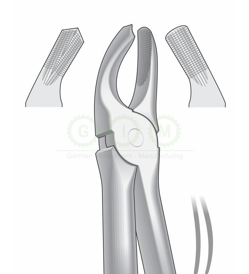 Upper Right Molars Extraction Forceps G1005 Fig.17 | Dental Tooth Removal Instrument