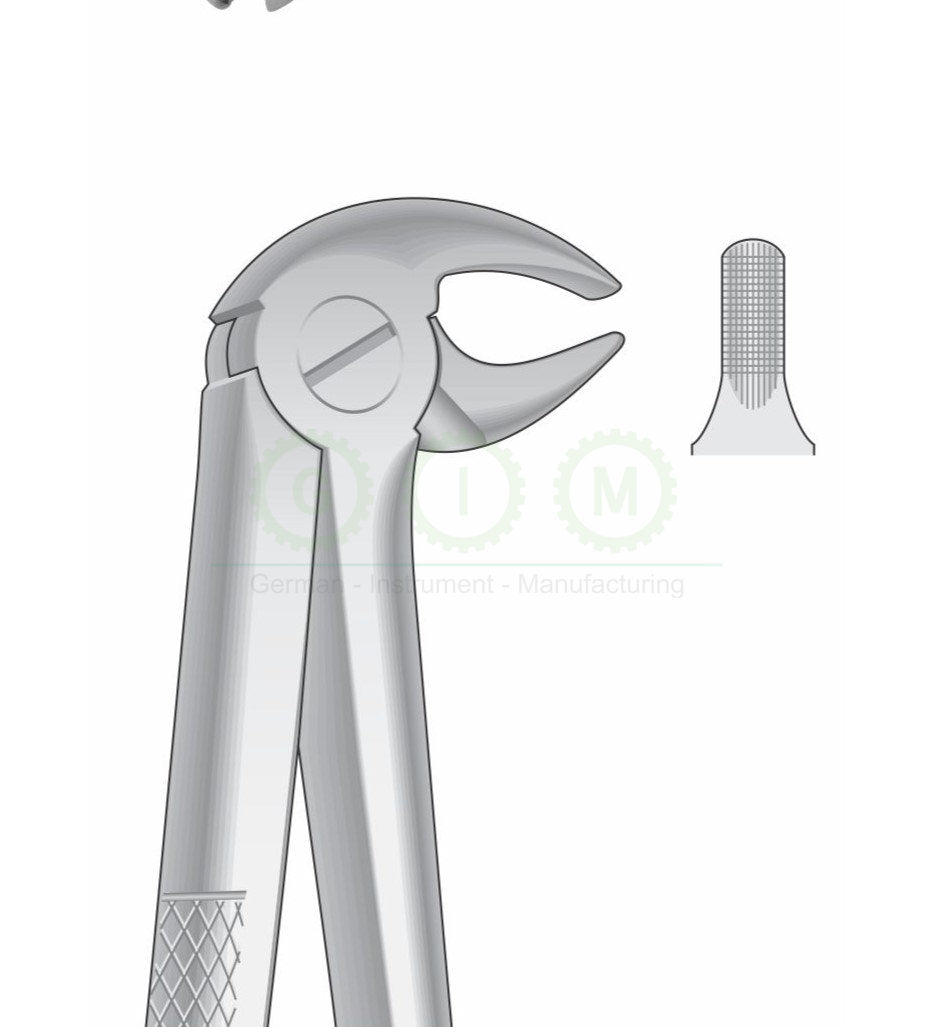 Lower Cuspids and Premolar Extraction Forceps G1007 Fig 13 | Dental Surgical Instrument Pakistan