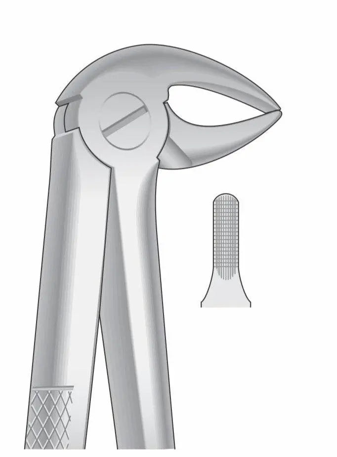 Lower Incisors Premolar and Roots Extraction Forceps G1008 Fig 33 | Dental Surgical Instrument Pakistan GIM Instruments