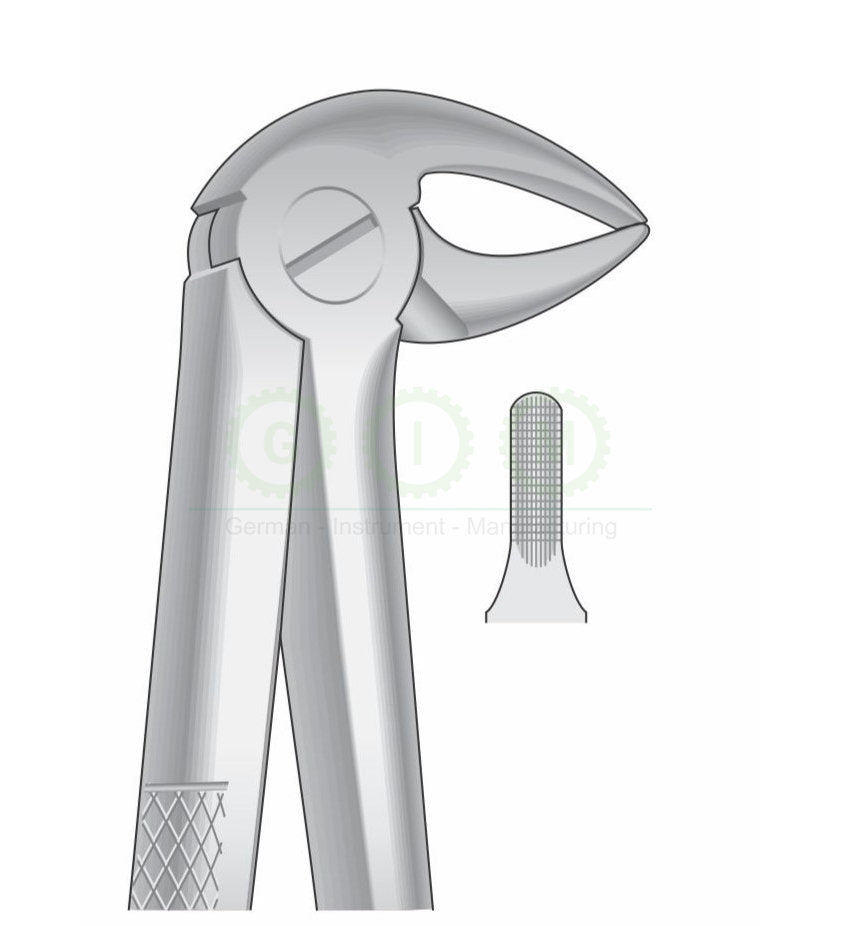 Lower Incisors Premolar and Roots Extraction Forceps G1008 Fig 33 | Dental Surgical Instrument Pakistan