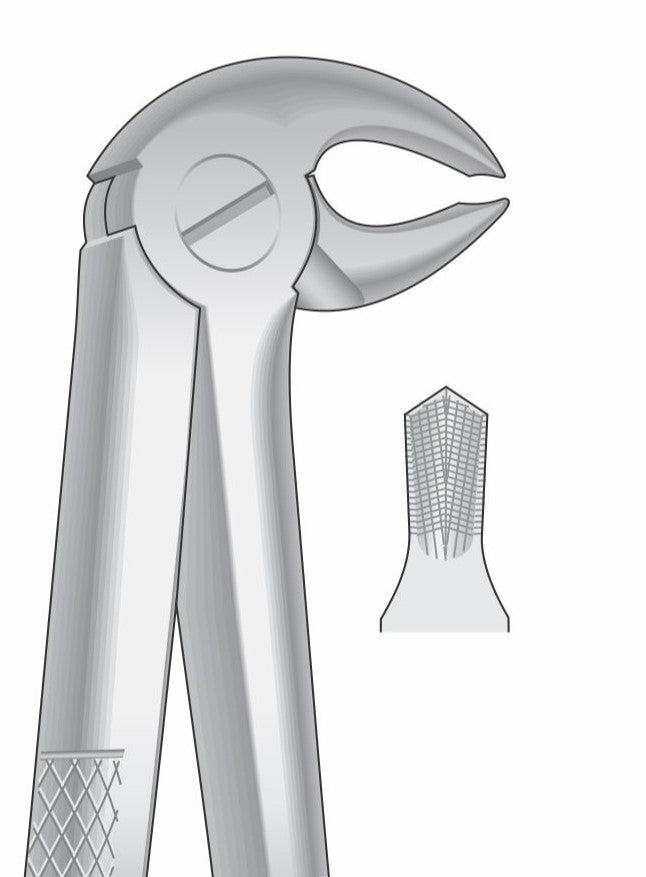 Lower Molars Extraction Forceps G1010 Fig 22 | Dental Surgical Instrument Pakistan