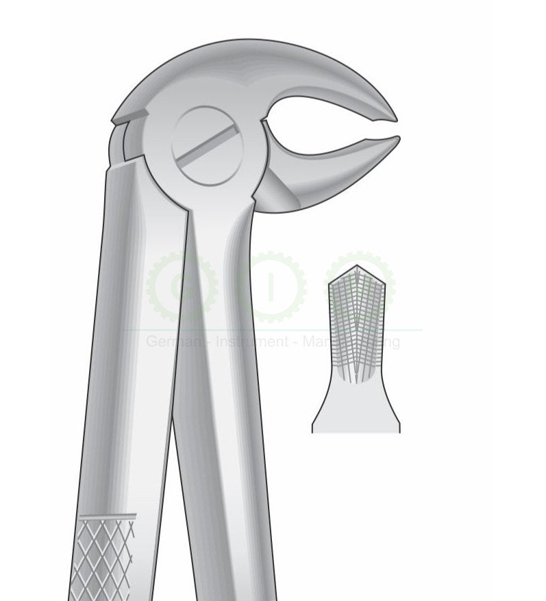 Lower Molars Extraction Forceps G1010 Fig 22 | Dental Surgical Instrument Pakistan