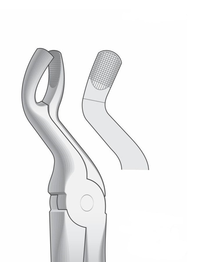 Upper Wisdom Tooth Extraction Forceps G1015 Fig 67A | Upper Molar Dental Surgical Instrument Pakistan