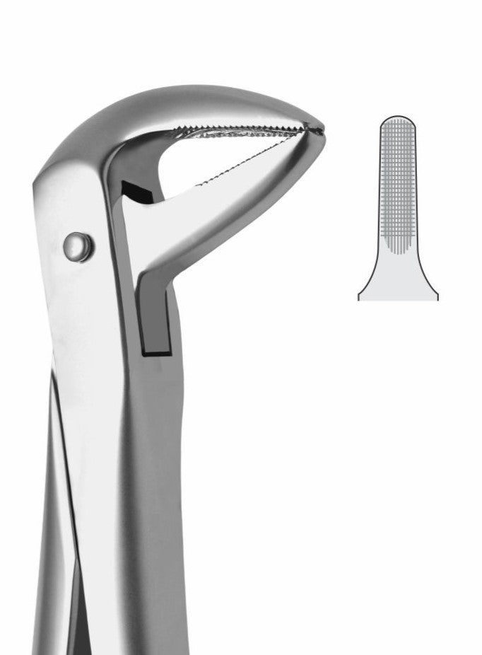 Lower Roots Extraction Forceps G1016 Fig 74 | Dental Surgical Instrument Pakistan