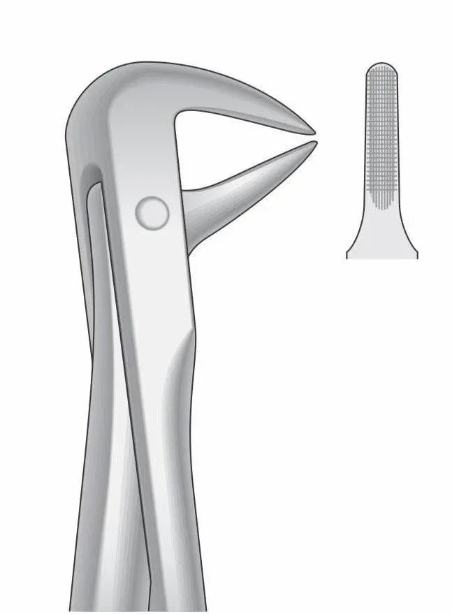 Lower Roots Incisor and Bicuspids Extraction Forceps G1017 Fig 74N | Dental Surgical Instrument Pakistan GIM Instruments