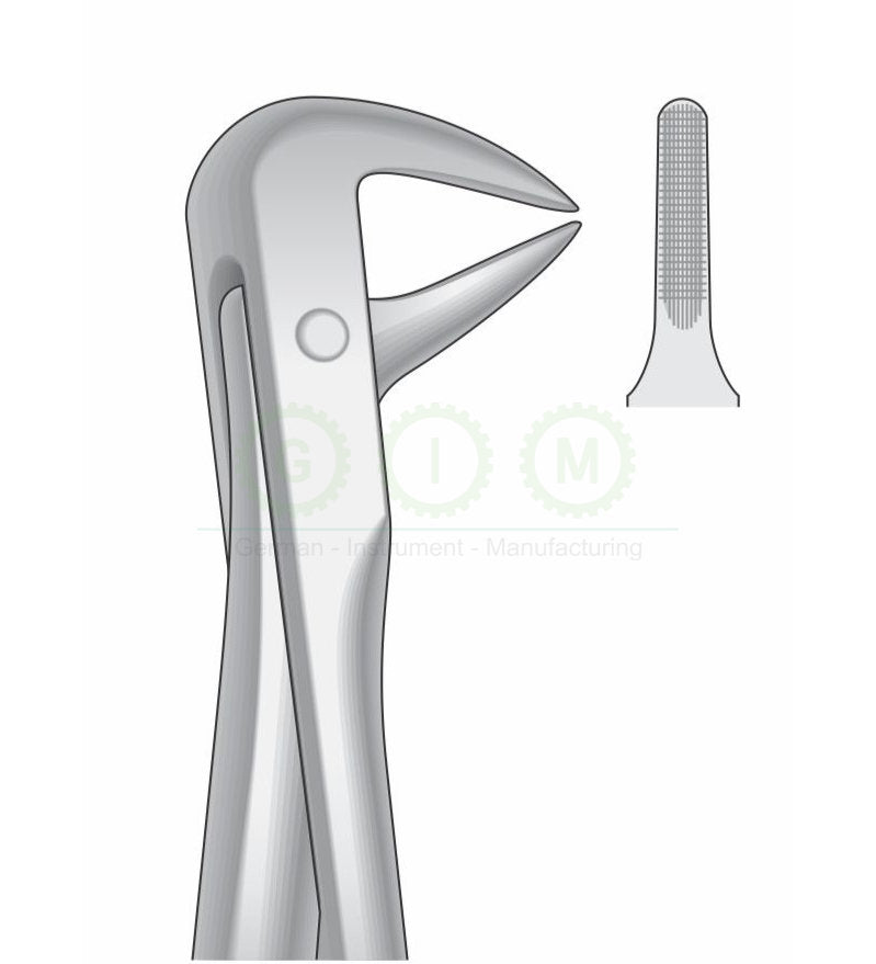Lower Roots Incisor and Bicuspids Forceps G1017 Fig 74N