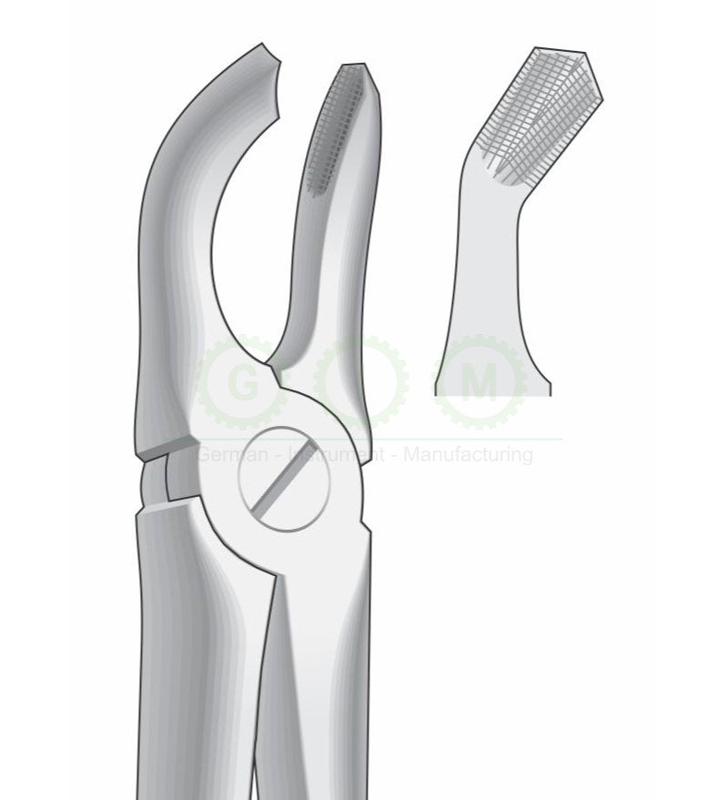 Lower Wisdom Teeth Extraction Forceps G1021 Fig 79
