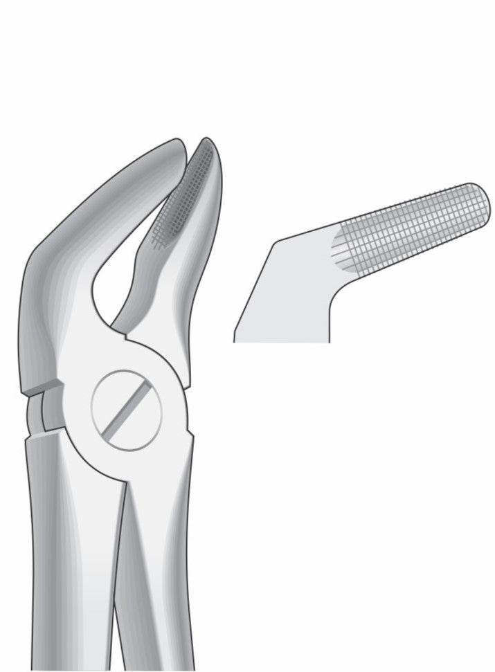 Lower Premolars Extraction Forceps G1022 Fig 8 | Dental Surgical Instrument Pakistan