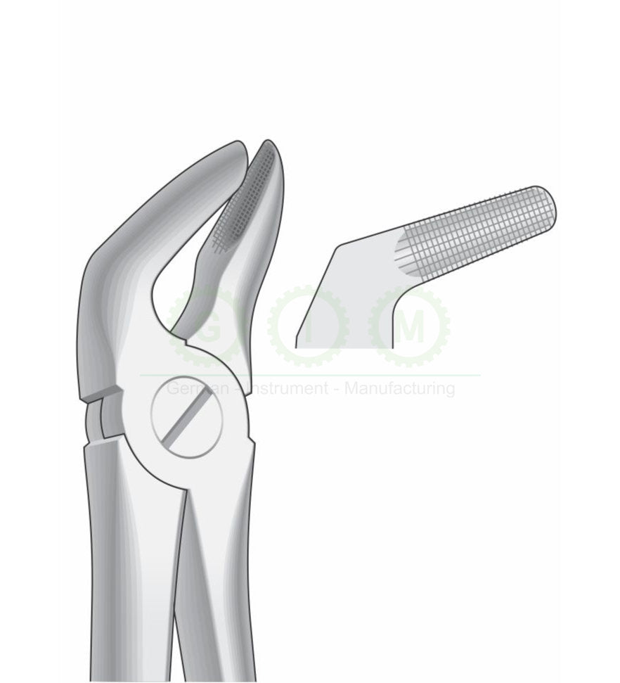 Lower Premolars Extraction Forceps G1022 Fig 8
