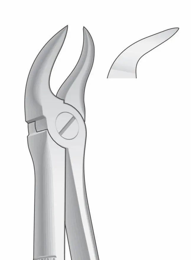 Lower Molars Extraction Forceps G1023 Fig 87 | Dental Surgical Instrument Pakistan GIM Instruments