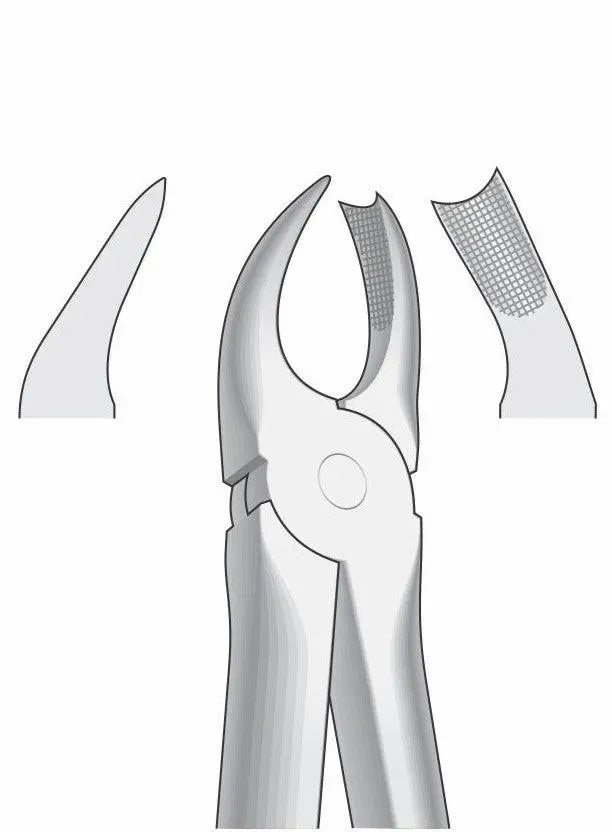 Right Upper Molar Extraction Forceps G1024 Fig 89 | Dental Surgical Instrument Pakistan GIM Instruments