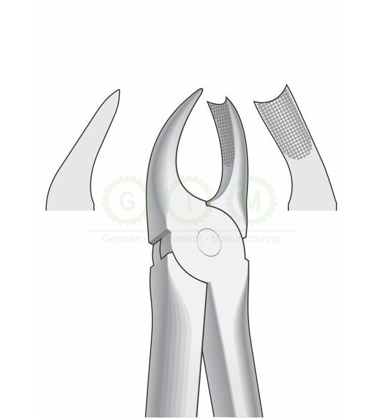 Right Upper Molar Extraction Forceps G1024 Fig 89