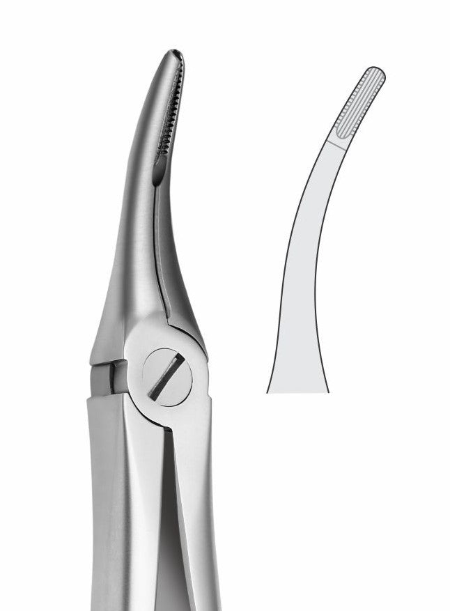 Upper Roots Extraction Forceps G1027 Fig 48-44 | Dental Surgical Instrument Pakistan
