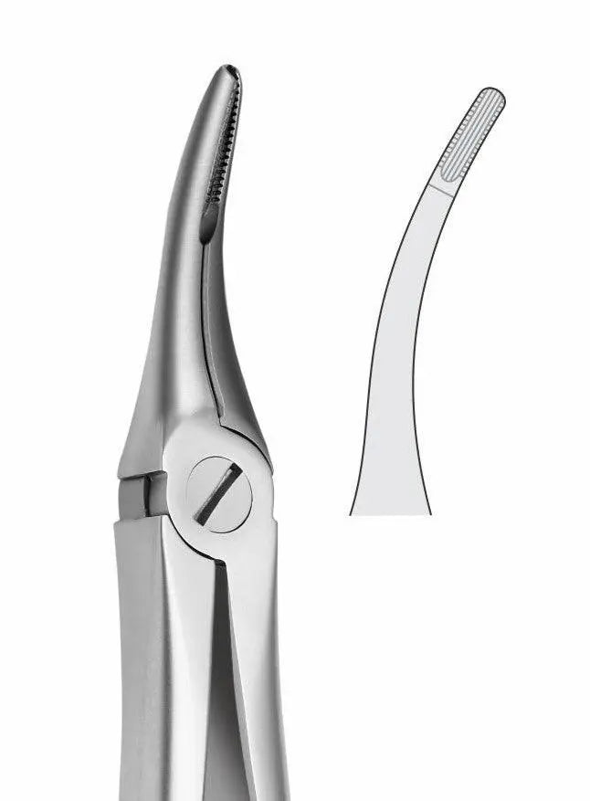 Upper Roots Extraction Forceps G1027 Fig 48-44 | Dental Surgical Instrument Pakistan GIM Instruments