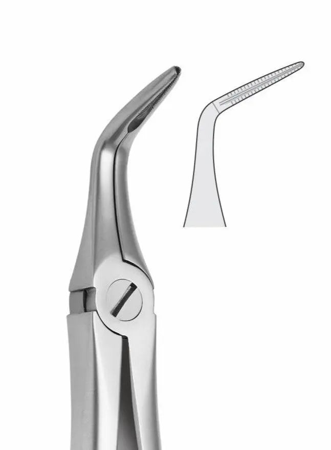 Lower Roots Extraction Forceps G1028 Fig 46L | Dental Surgical Instrument Pakistan GIM Instruments
