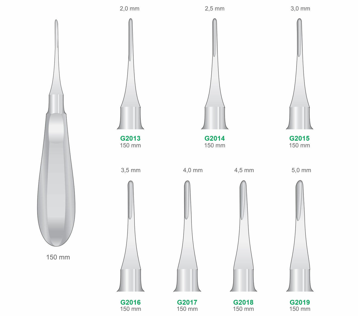 Straight Luxators G2013-G2019 150mm Handle | Dental Root Elevator Instruments