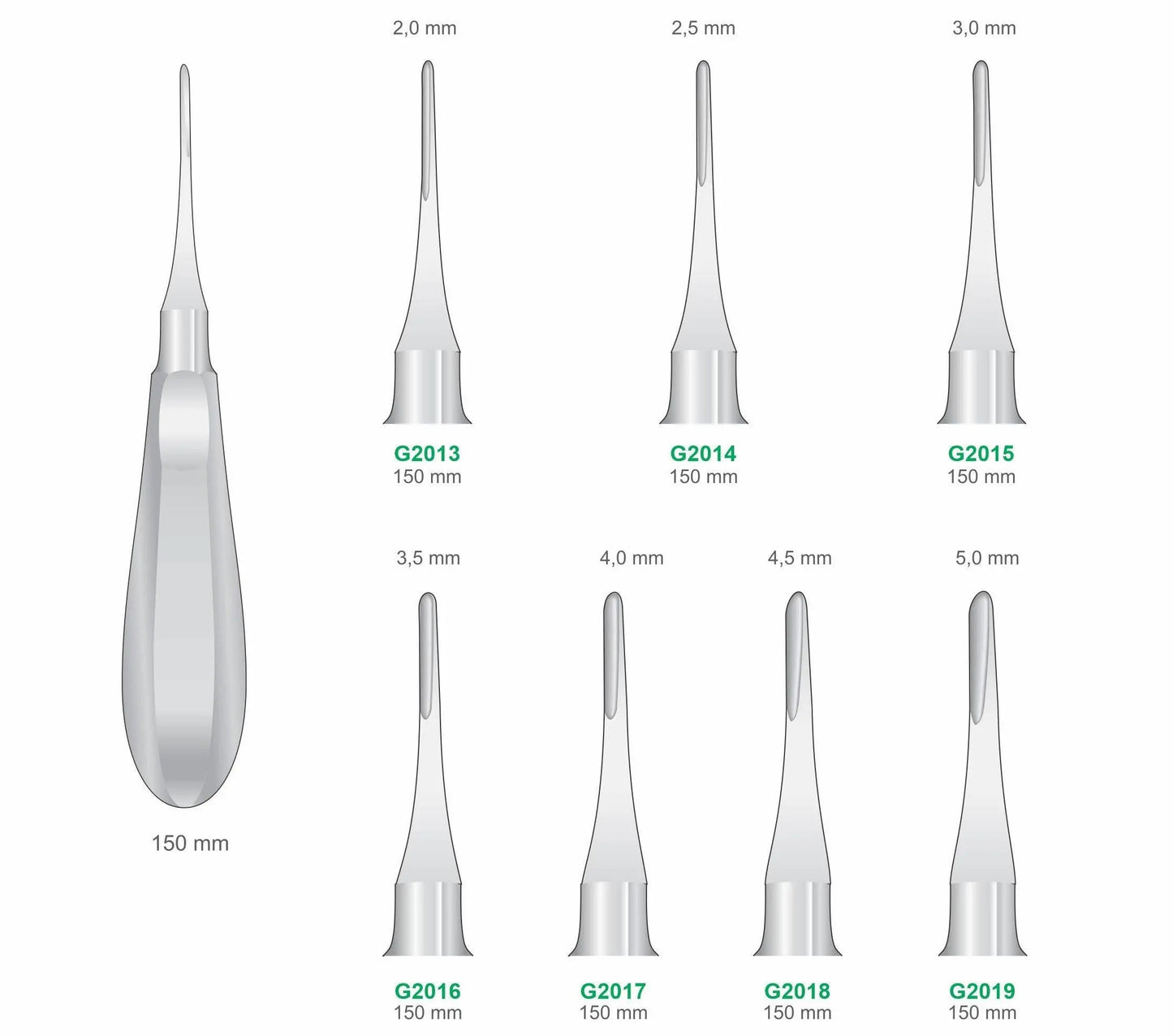 Straight Luxators G2013-G2019 150mm Handle | Dental Root Elevator Instruments GIM Instruments