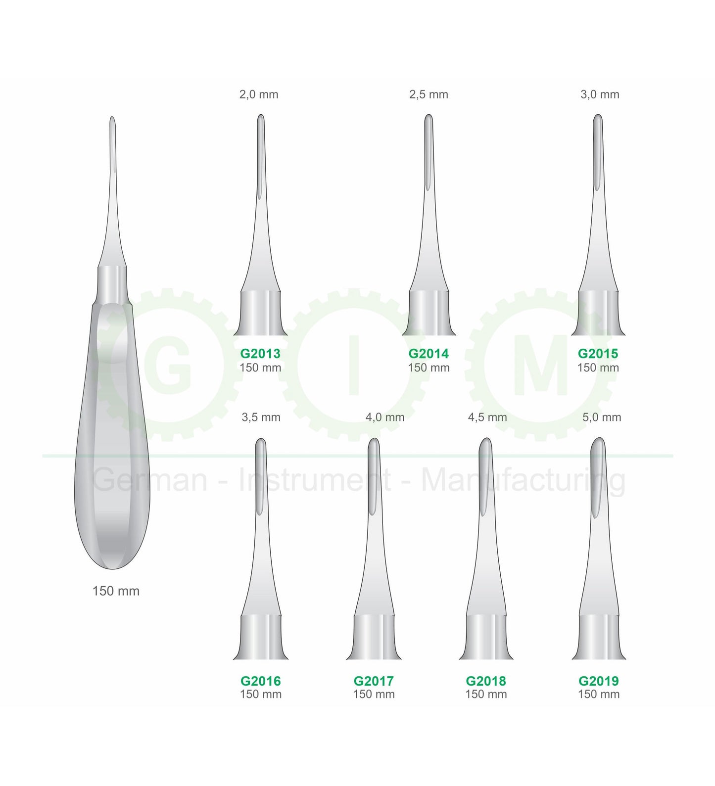 Straight Luxators G2013-G2019 | Dental Root Elevator Instruments