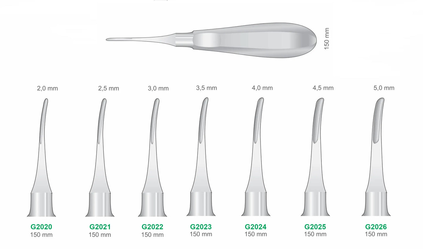 Curved Luxators G2020-G2026 150mm Handle | Dental Root Elevator Instruments GIM Instruments
