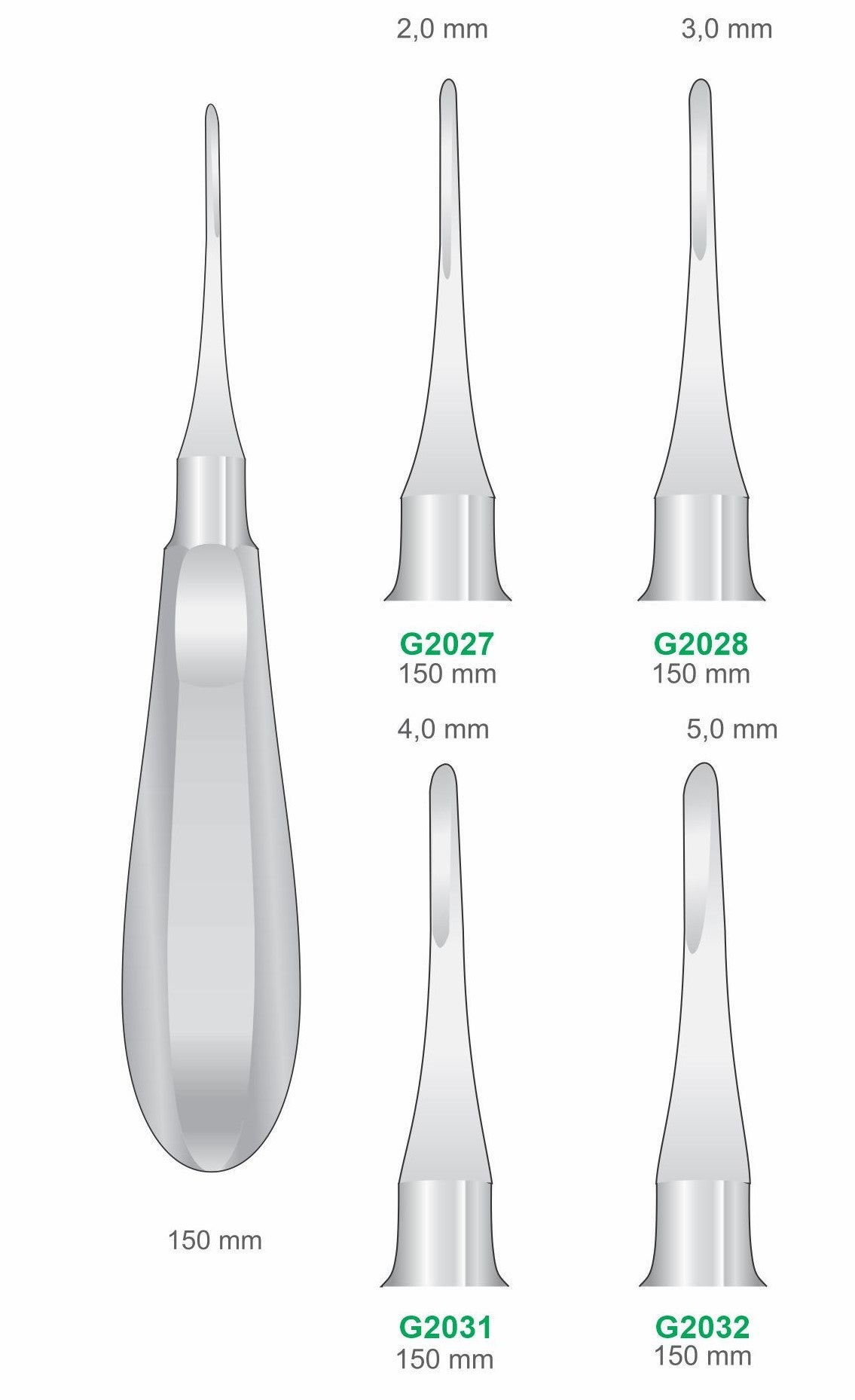 Straight Luxators 150mm Handle | Dental Root Elevator Instruments