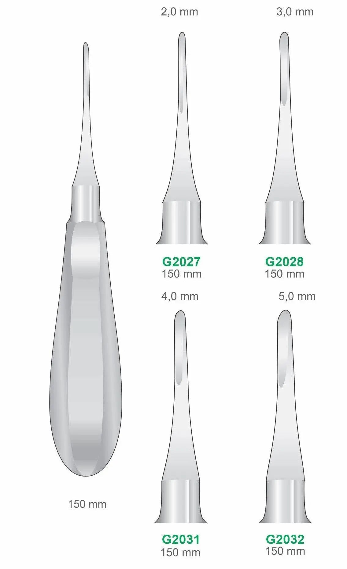 Straight Luxators 150mm Handle | Dental Root Elevator Instruments GIM Instruments