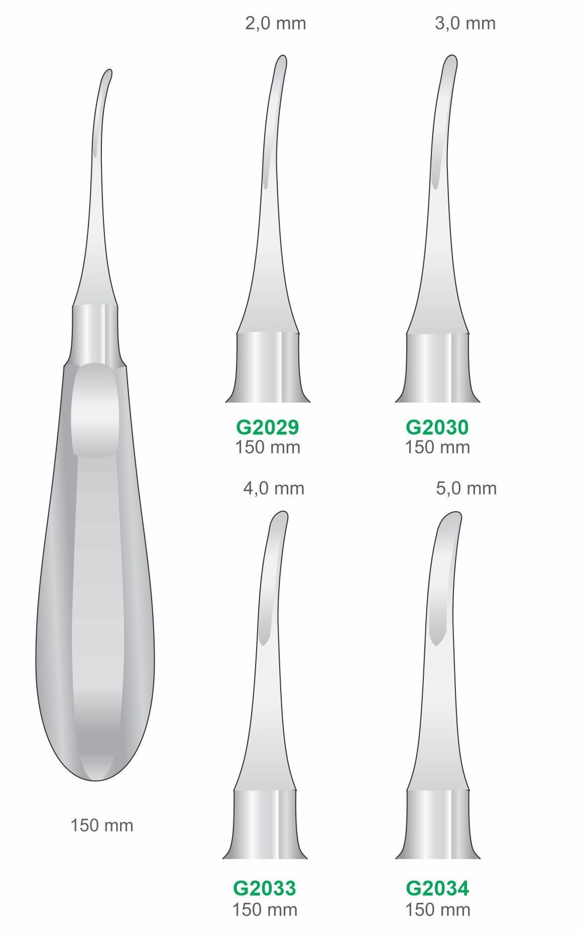 Curved Luxators 150mm Handle | Dental Root Elevator Instruments