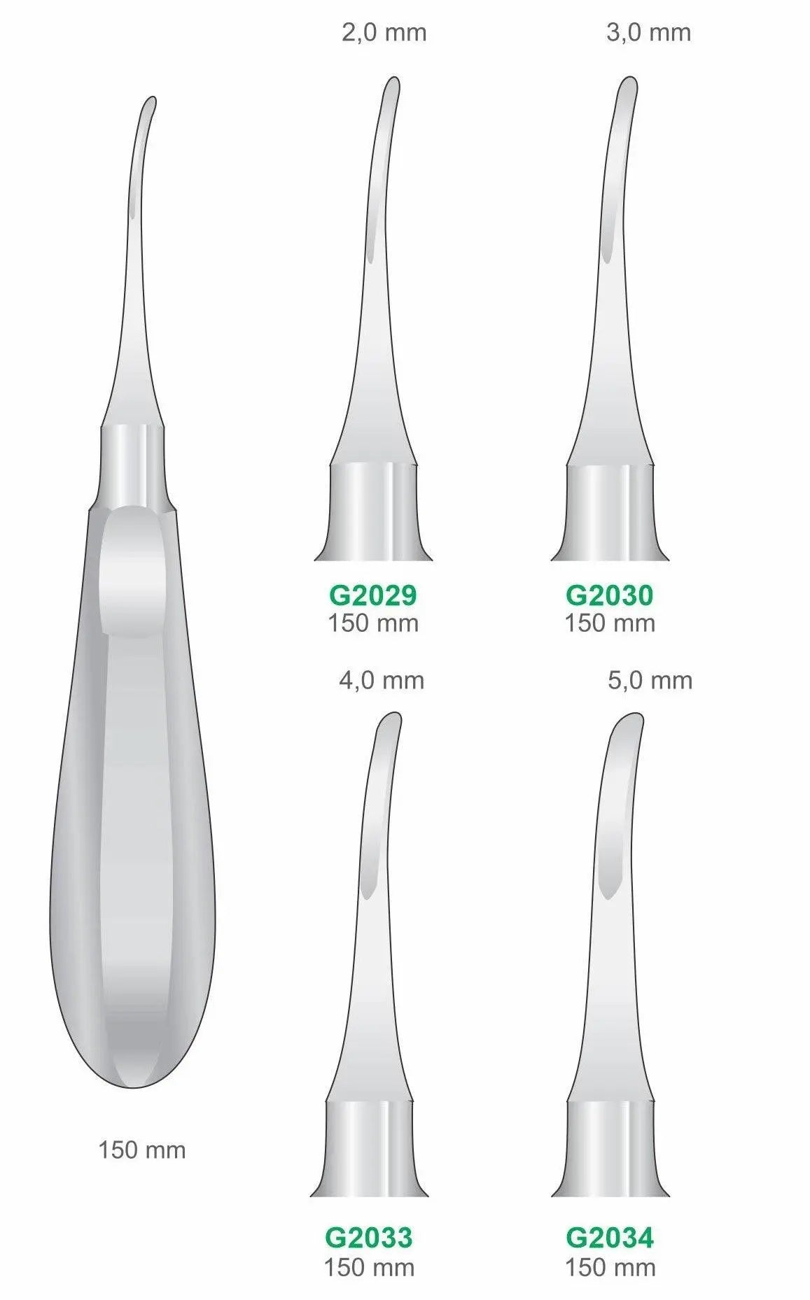 Curved Luxators 150mm Handle | Dental Root Elevator Instruments GIM Instruments