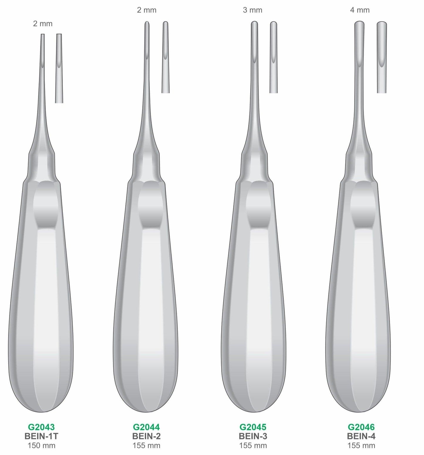 BEIN Elevators 150mm & 155mm Handle | Dental Surgical Instruments GIM Instruments