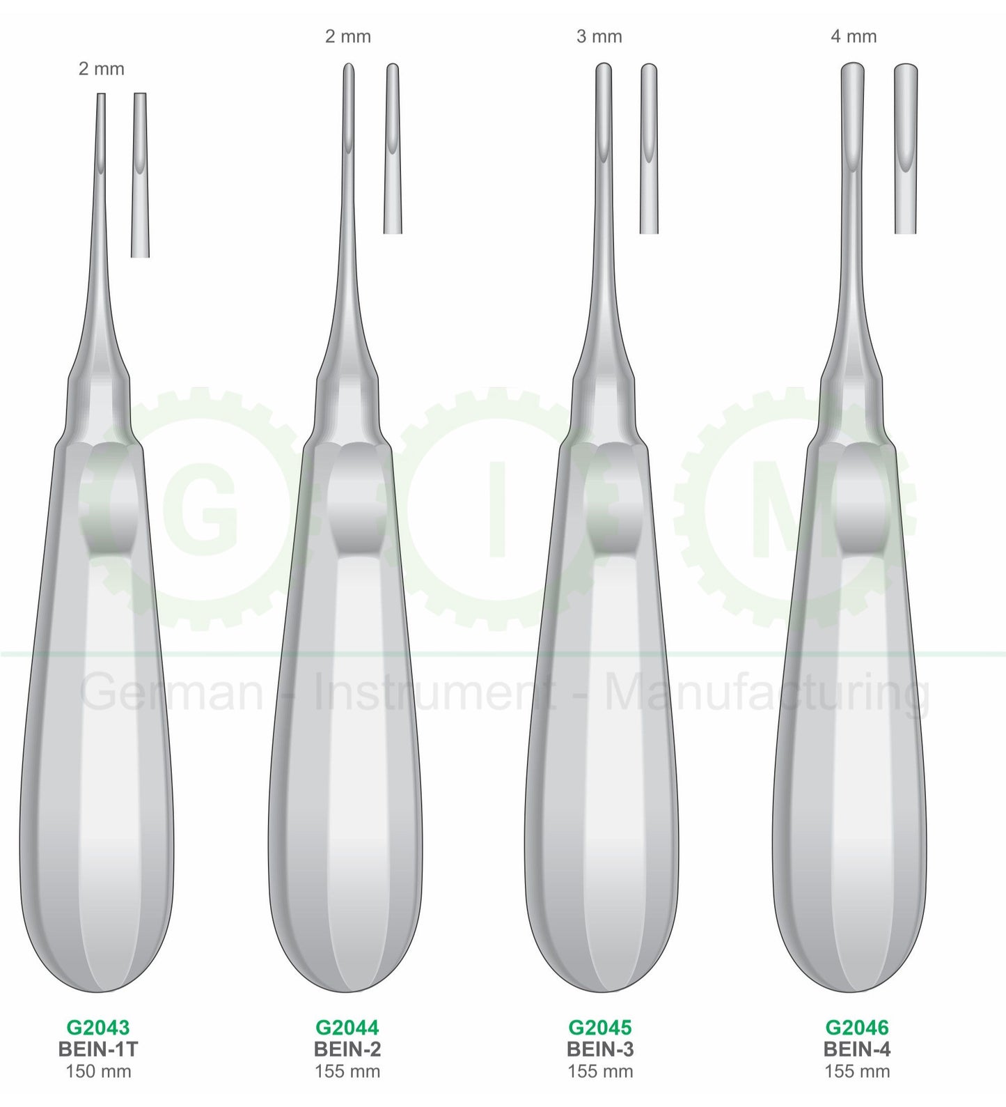BEIN Elevators | Dental Surgical Instruments