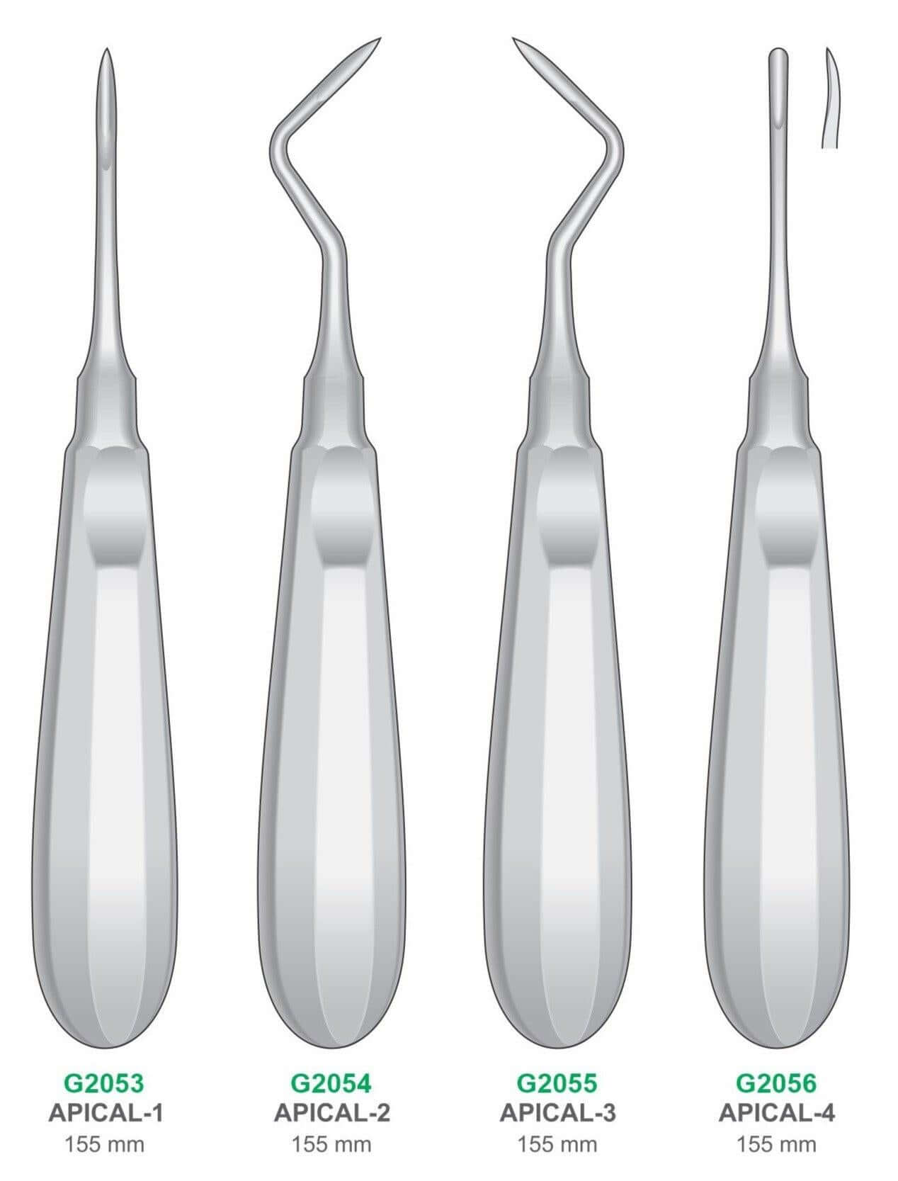 Apical Elevators | Dental Surgical Instruments GIM Instruments