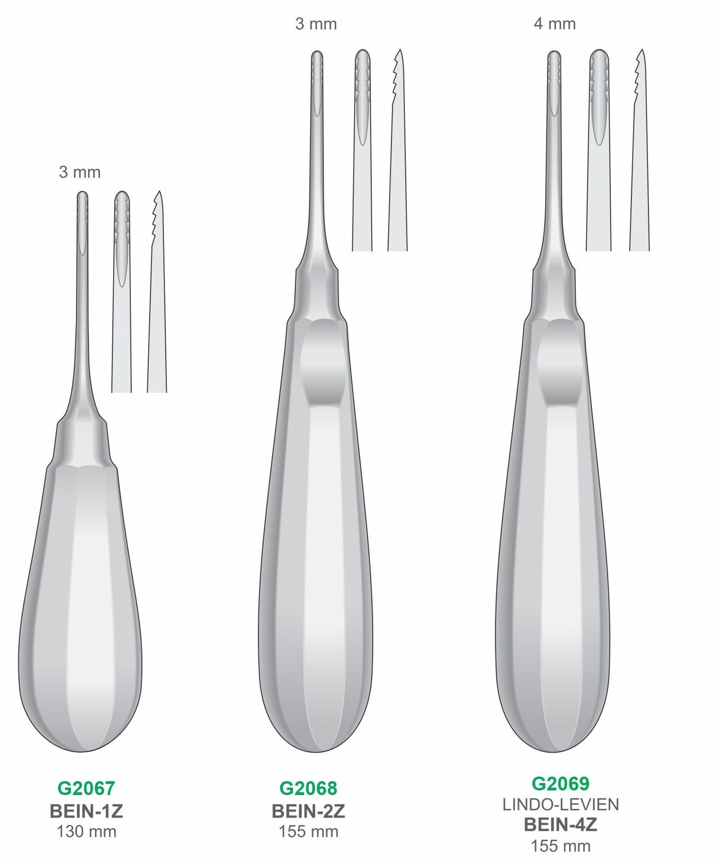 Premium Dental Root Elevator Set Stainless Steel Surgical Instruments GIM Instruments