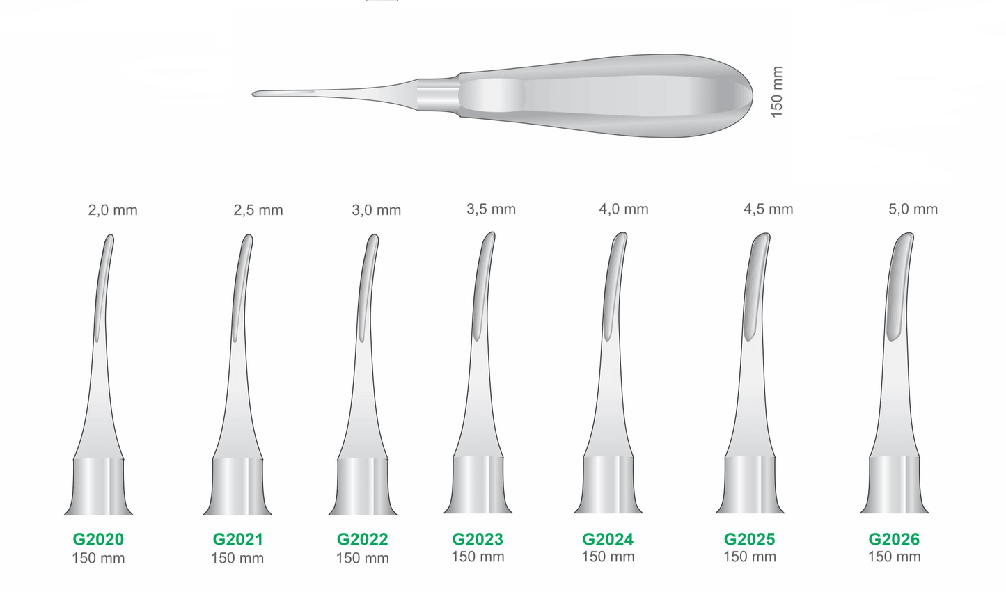 Premium Dental Curved Root Elevator Set Stainless Steel Surgical Instruments GIM Instruments