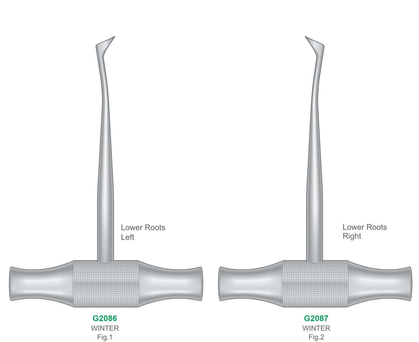 Premium Dental Winter Root Elevator Stainless Steel Surgical Instruments GIM Instruments