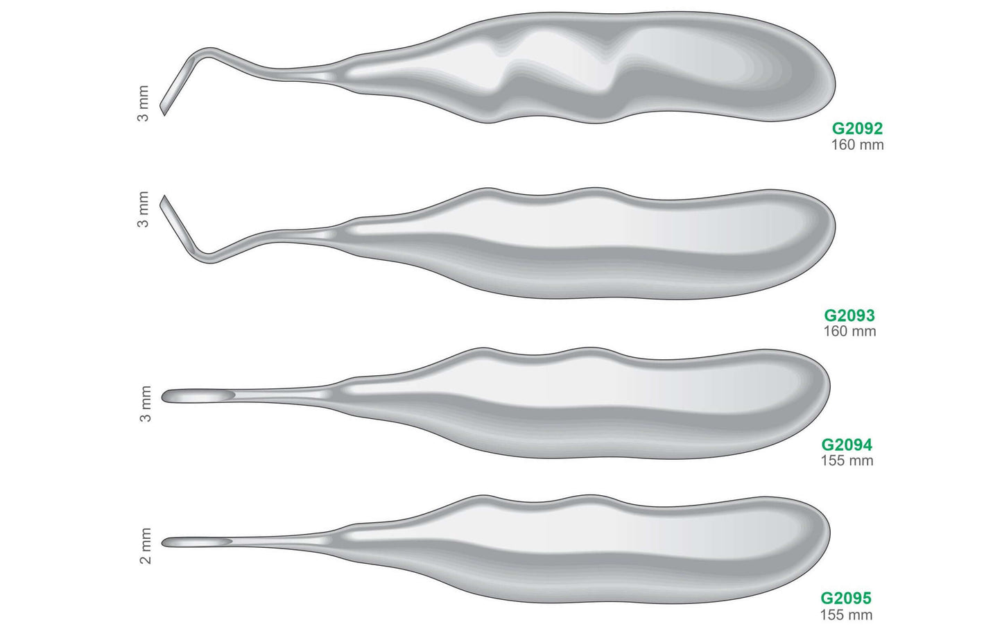 Premium Dental Root Elevators Surgical Extraction Instruments Stainless Steel GIM Instruments