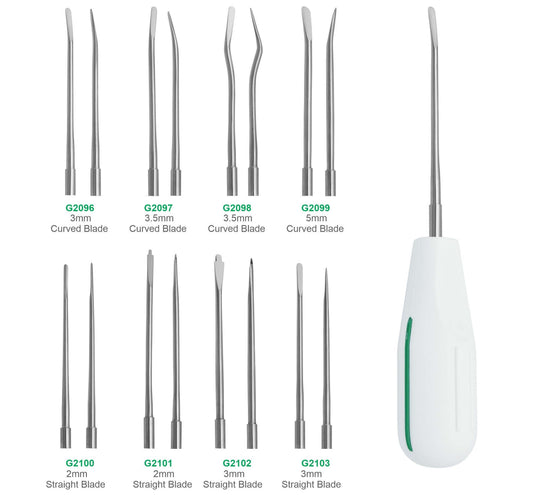 Premium Luxator Elevator Dental Surgical Extraction Instrument Set Stainless Steel GIM Instruments