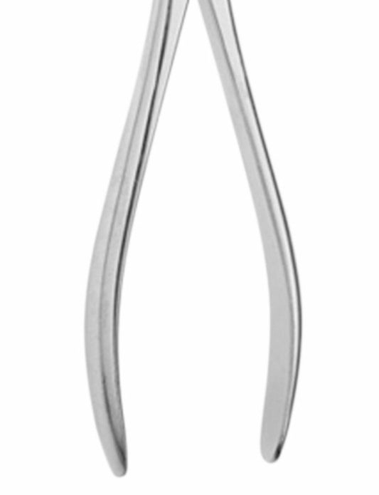 Asch Septum Straight Forceps | Surgical Instrument