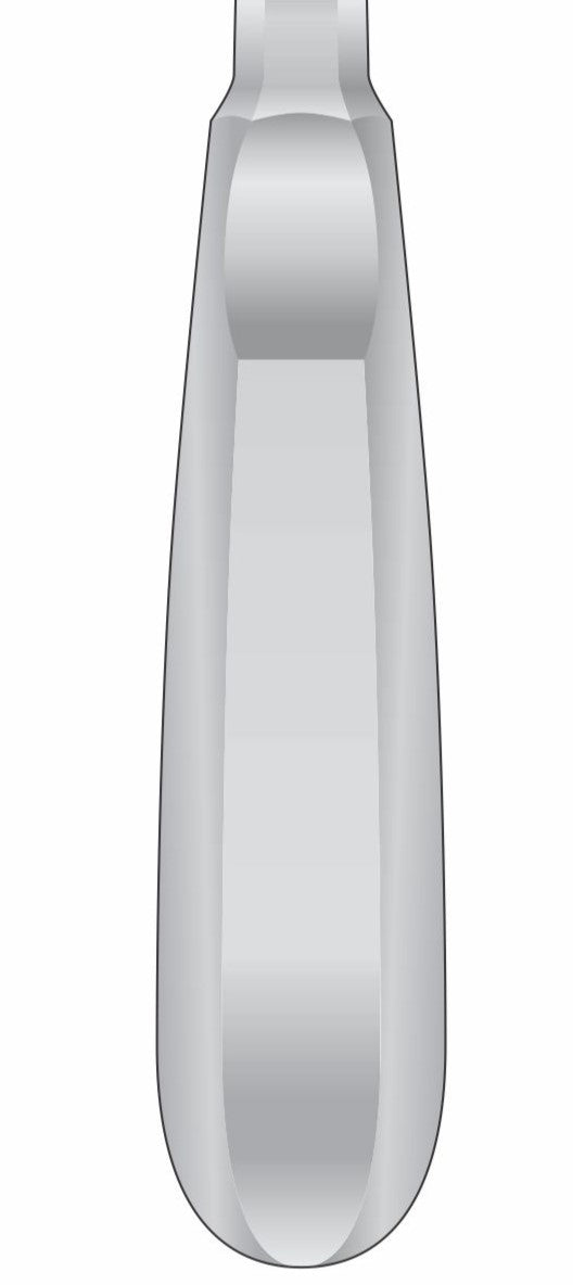Premium Dental Seldin Root Elevator Stainless Steel Surgical Instrument