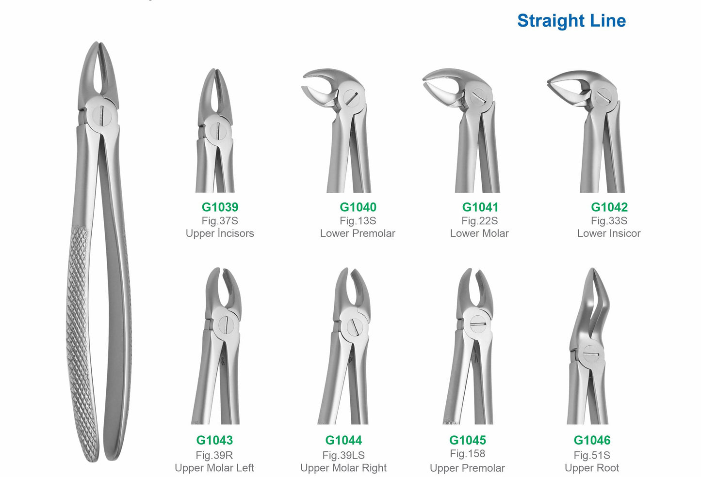 Set of 8 Medium Extraction Forceps G1047 | Dental Surgical Instruments Set Pakistan