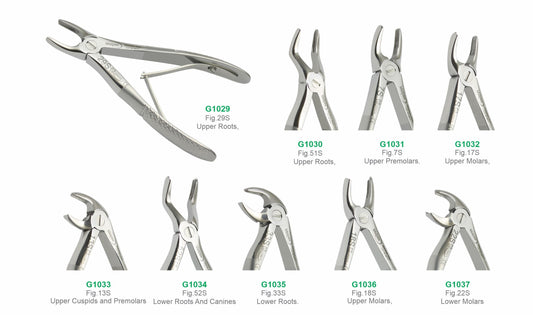 Set of 9 Baby Extraction Forceps G1038 | Pediatric Dental Surgical Instruments Set Pakistan