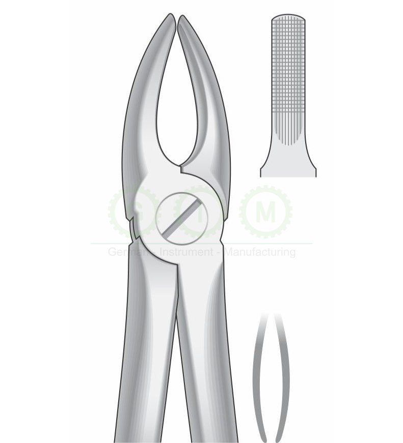 Upper Incisors and Cuspids Extraction Forceps G1003 Fig 2