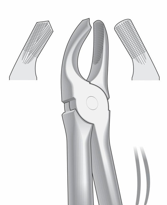 Upper Right Molars Extraction Forceps G1005 Fig.17 | Dental Tooth Removal Instrument